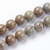 Natural Silver Leaf Jasper Beads Strands X-G-F520-45-8mm-1