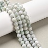 Natural Jadeite Beads Strands G-L568-001B-1