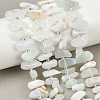 Natural Green Opal Beads Strands G-L657-E03-01-1