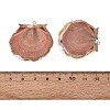 Electroplated Golden Brass Trim Natural Sea Shell Pendants SSHEL-N042-33-3