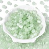 FGB Grade A Drawbench Style Glass Seed Beads SEED-Q040-10MM-21-2