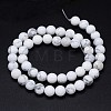 Round Natural Howlite Bead Strands LS-G-F222-14-8mm-3