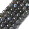 Natural Labradorite Beads Strands X-G-U017-8MM-01-2