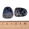 Natural Lapis Lazuli Pendants G-N362-06B-3