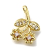 Brass Micro Pave Cubic Zirconia Pendants LS-ZIRC-I070-067G-1