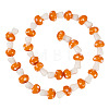 1Strand Handmade Lampwork Beads Strands LAMP-TA0001-84E-1