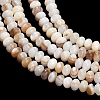Natural Freshwater Shell Beads Strands SHEL-C010-04B-01-2