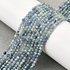 Natural Kyanite/Cyanite/DistheneBeads Strands G-G259-D04-2mm-1