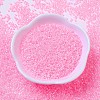 MIYUKI Delica Beads SEED-X0054-DB0245-2