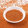 MIYUKI Round Rocailles Beads SEED-JP0008-RR0009-2