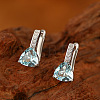 Brass & Cubic Zirconia Hoop Earrings WGC58F4-01-2