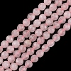 Natural Rose Quartz Beads Strands G-G0003-D01-2