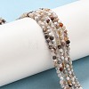 Natural Mexican Lace Agate Beads Strands G-E608-A11-A-4