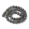 Natural Labradorite Beads Strands X-G-U017-8MM-01-3