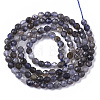Natural Iolite/Cordierite/Dichroite Beads Strands G-R460-021-2