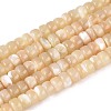 Natural Trochid Shell/Trochus Shell Beads Strands BSHE-T014-54B-1