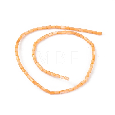 Natural Freshwater Shell Dyed Beads Strands SHEL-M018-12-07-1