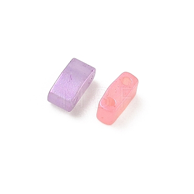 Glass 2-Hole Baking Paint Glass Seed Beads GLAA-G130-01C-1