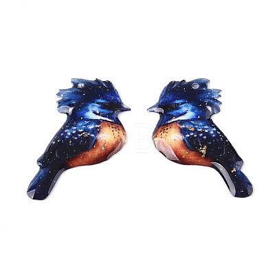 Epoxy Resin Pendants RESI-N045-01C-1
