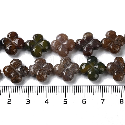 Natural Indian Agate Beads Strands G-N418-D03-01-1