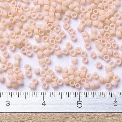 MIYUKI Delica Beads SEED-X0054-DB0354-1