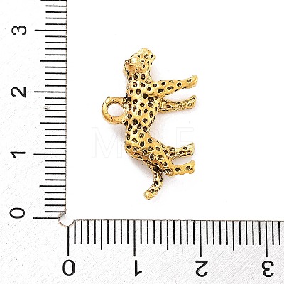 Tibetan Style Alloy Charms LS-FIND-G077-02AG-1