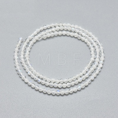 Natural Rainbow Moonstone Beads Strands G-A177-04-23-1