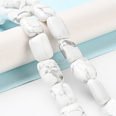 Natural Howlite Beads Strands G-K357-D05-01-1