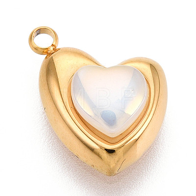 304 Stainless Steel Charms STAS-N110-23G-1