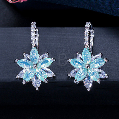 Brass Cubic Zirconia Hoop Earrings WGBE890-06-1