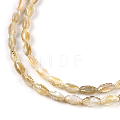 Natural Freshwater Shell Beads Strands BSHE-G036-03-1