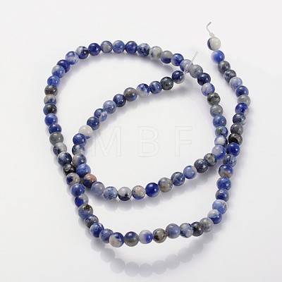 Natural Sodalite Beads Strands X-GSR4mmC013-1