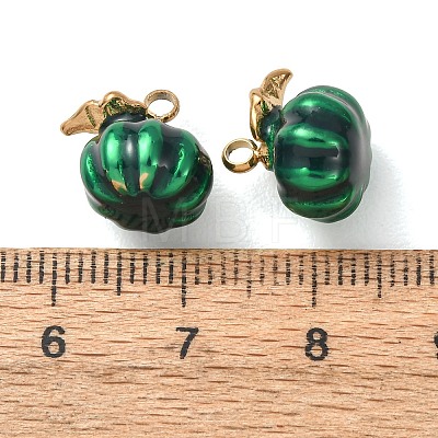 304 Stainless Steel Charms SA-D002-14B-G-1