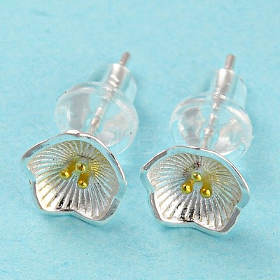 Two Tone 999 Sterling Silver Stud Earrings STER-P052-A05-S-1
