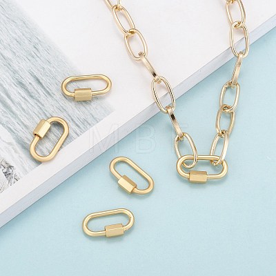 Brass Screw Carabiner Lock Charms X-ZIRC-G160-11G-1