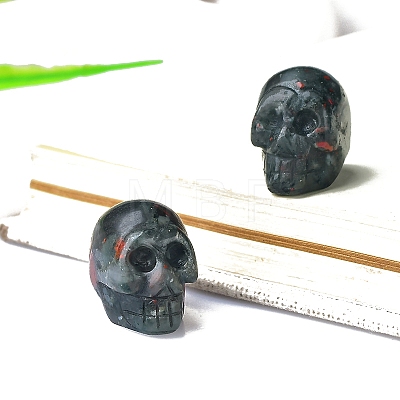 Natural Bloodstone Skull Display Decorations PW-WG24213-10-1