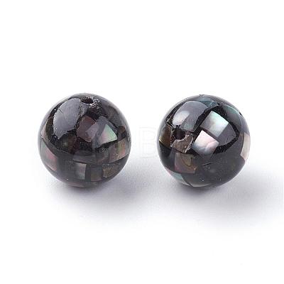 Natural Black Lip Shell Beads SSHEL-Q298-10mm-10-1