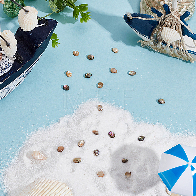 1 Strand Natural Paua Shell Beads Strands BSHE-ME0001-05-1