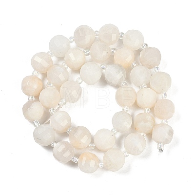 Natural White Moonstone Beads Strands G-G182-B09-05-1