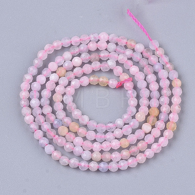 Natural Morganite Beads Strands G-S361-2mm-021-1