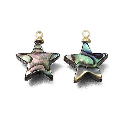 Natural Abalone Shell Pendants SH-CJC0AC7-01D-G-1
