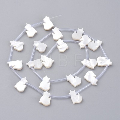 Natural White Shell Mother of Pearl Shell Beads SSHEL-L018-014-1