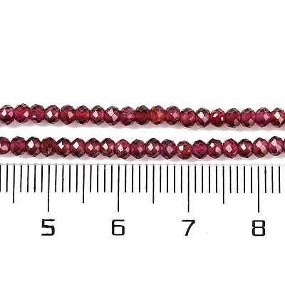 Natural Garnet Beads Strands X-G-F770-D02-02-1