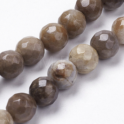 Natural Silver Leaf Jasper Beads Strands X-G-K181-4mm-O01-1