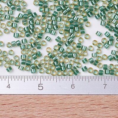 MIYUKI Delica Beads X-SEED-J020-DB0917-1