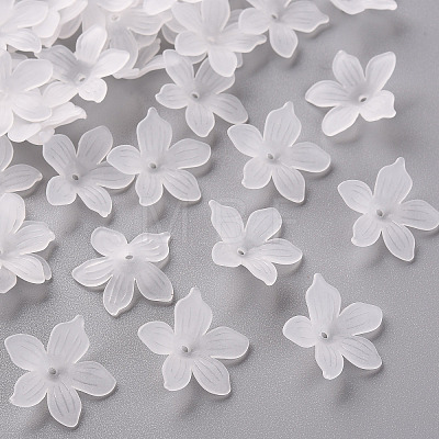 Frosted Acrylic Bead Caps LS-X-MACR-S371-05A-701-1