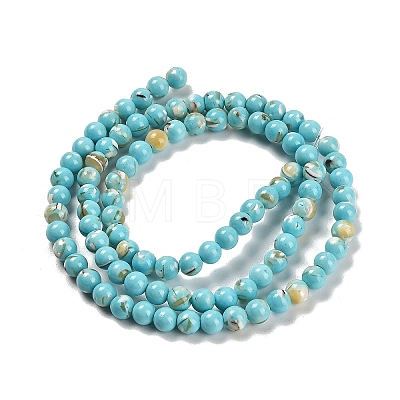 Assembled Synthetic Stone and Trochus Shell Beads Strands G-B128-08A-06-1