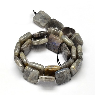 Natural Labradorite Square Bead Strands G-L357-12mm-10-1