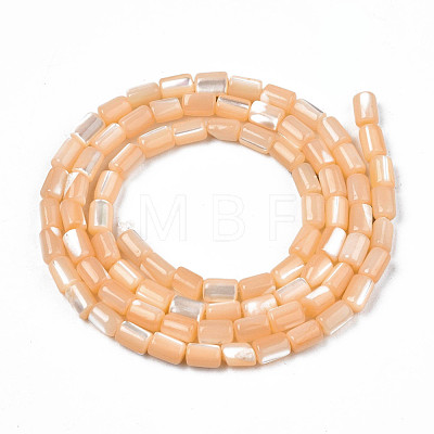 Natural Trochid Shell/Trochus Shell Beads Strands SHEL-N003-26-B06-1