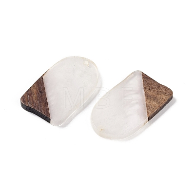 Resin & Wood Pendants WOOD-F015-13C-1